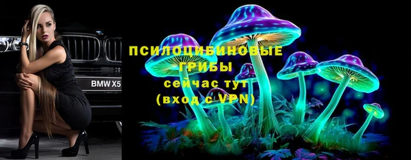мяу мяу мука Белоозёрский
